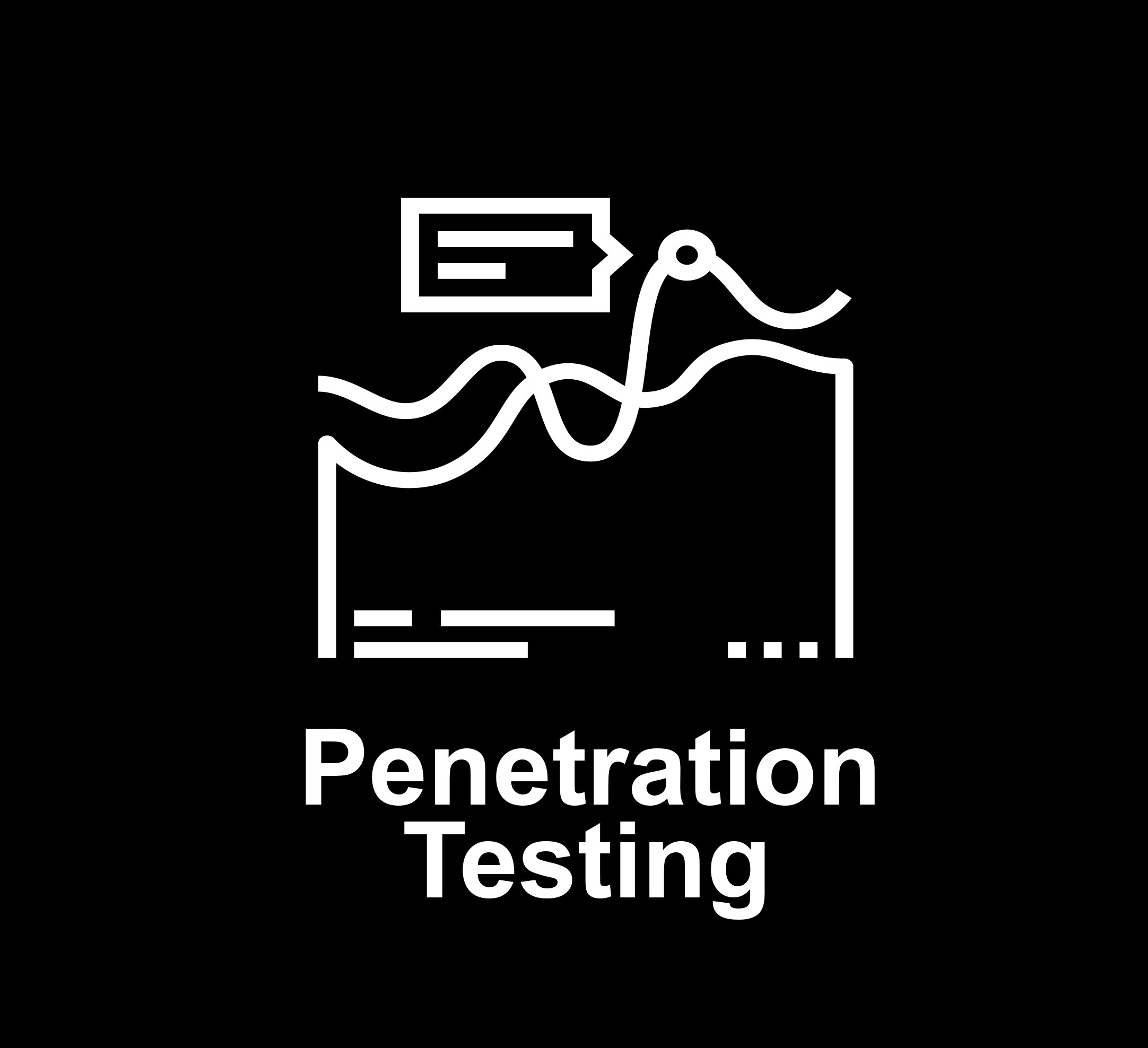 penetration testing